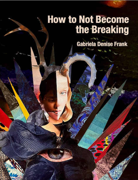 How To Not Become The Breaking book cover.